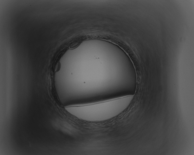X0000101171493200806270742