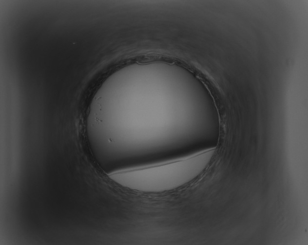 X0000101171495200806270742