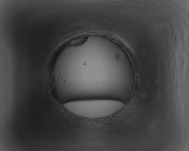 X0000101171496200806270742