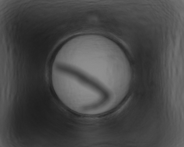 X0000101171498200806270742