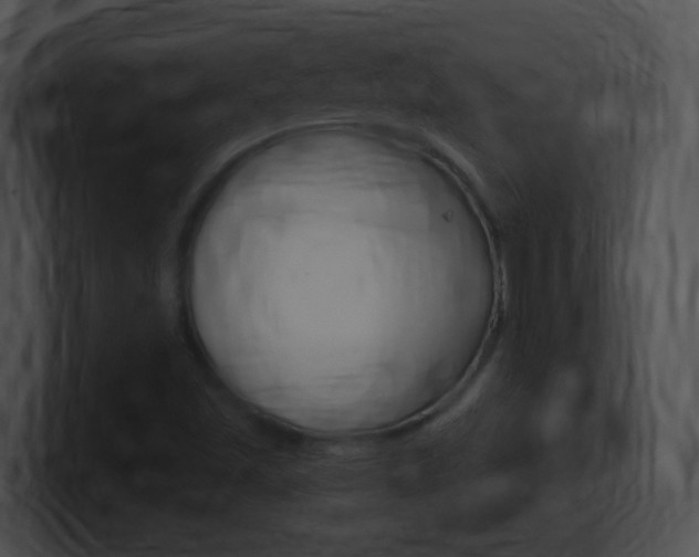 X0000101171501200806270743