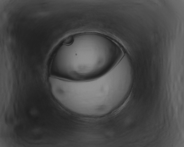 X0000101171502200806270743