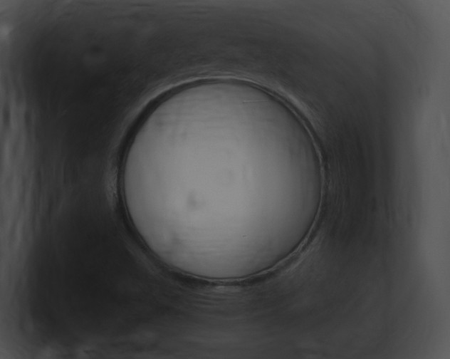 X0000101171503200806270743