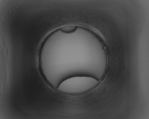 X0000101171504200806270743