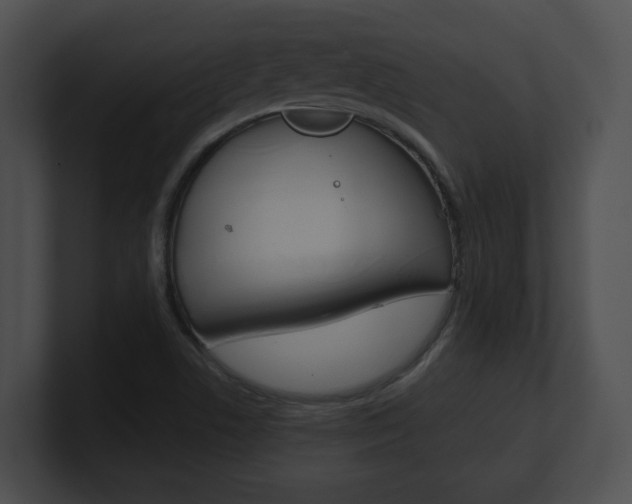 X0000101171506200806270743