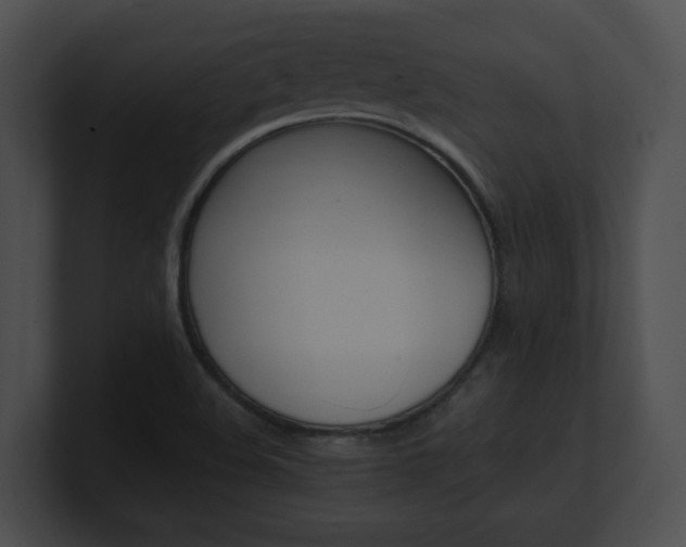 X0000101171508200806270743