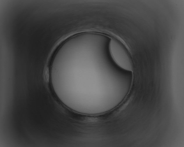 X0000101171509200806270743