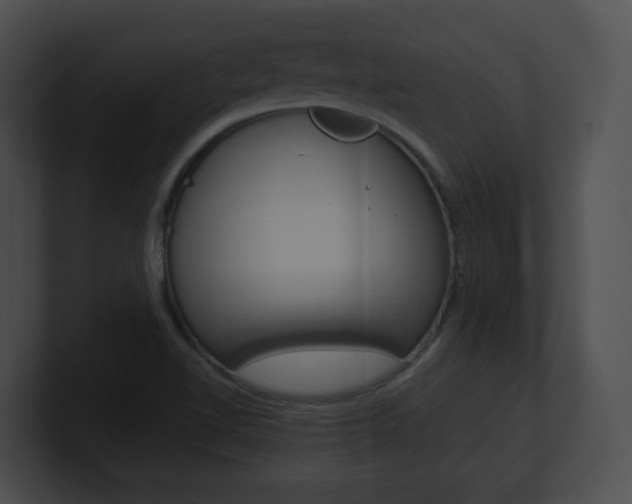 X0000101171510200806270743
