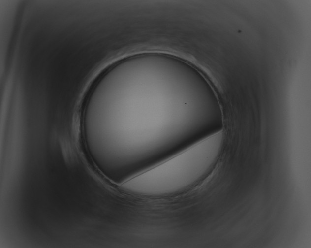 X0000101171511200806270743