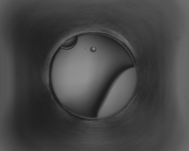 X0000101171512200806270743