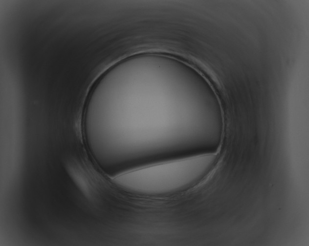X0000101171513200806270743