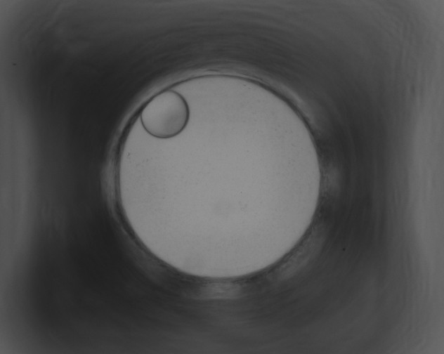 X0000101171514200806270743