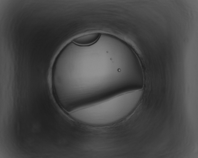 X0000101171516200806270743