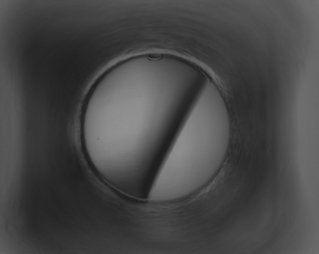 X0000101171518200806270743