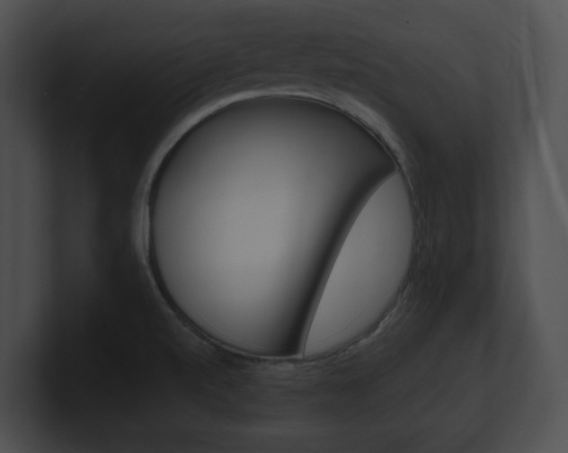 X0000101171520200806270743
