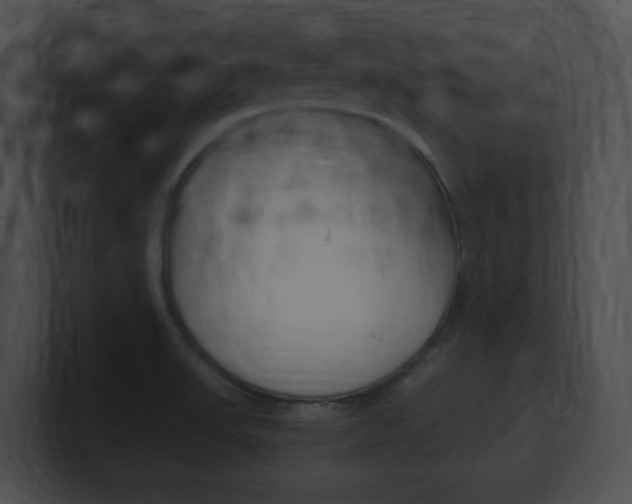 X0000101171523200806270743