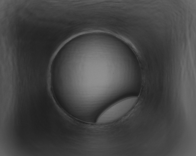 X0000101171524200806270743