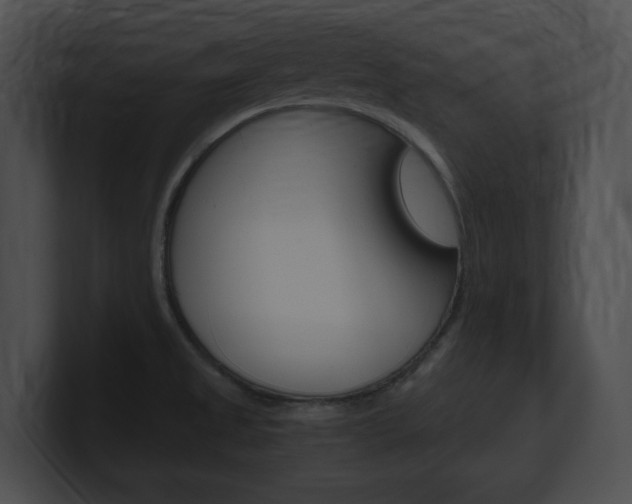 X0000101171525200806270743