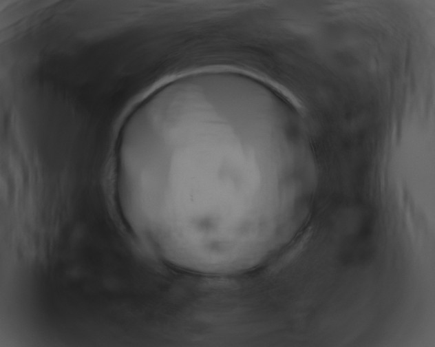 X0000101171526200806270743