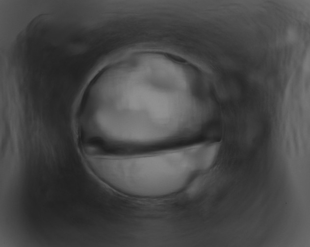 X0000101171527200806270743