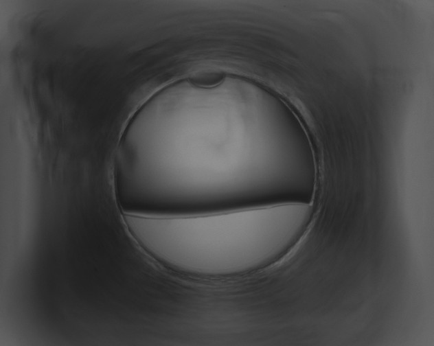 X0000101171529200806270743
