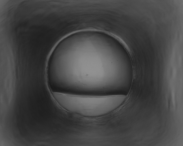X0000101171532200806270743