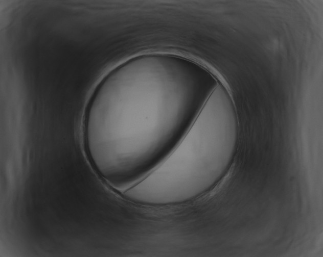 X0000101171533200806270743