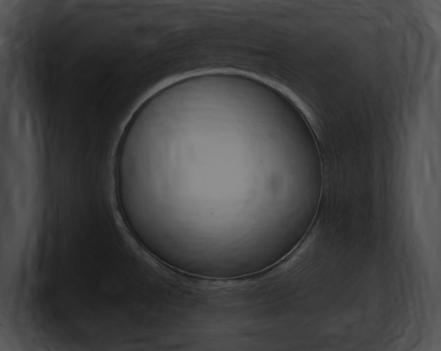 X0000101171534200806270743