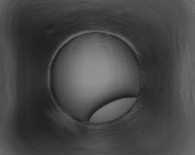 X0000101171535200806270743