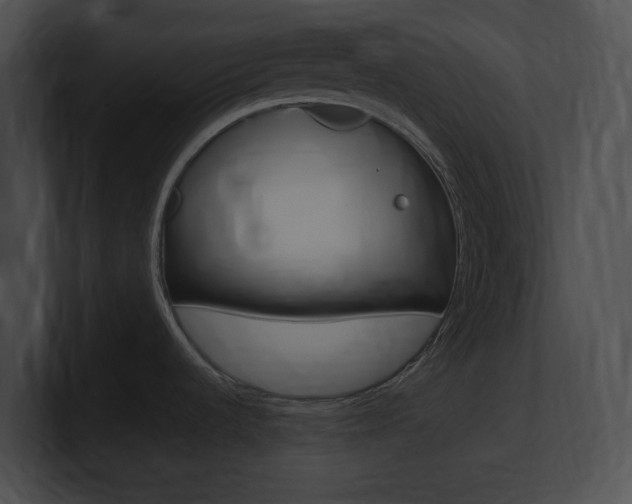 X0000101171536200806270743