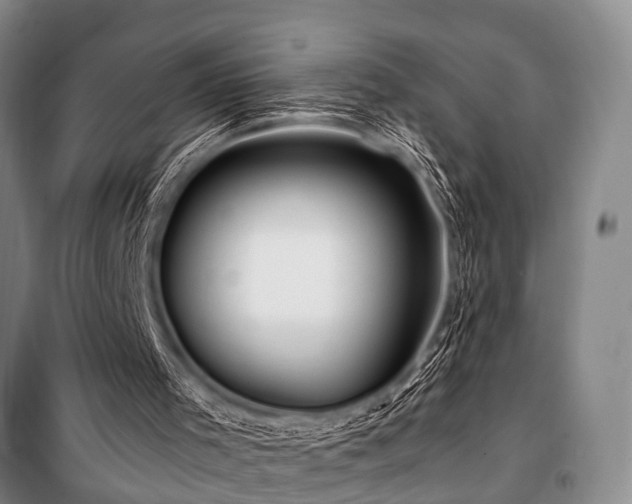 X0000101170001200806271046