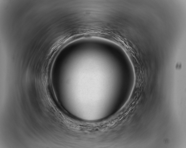 X0000101170002200806271046