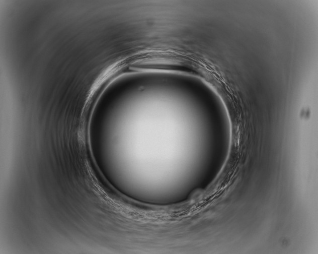 X0000101170004200806271046