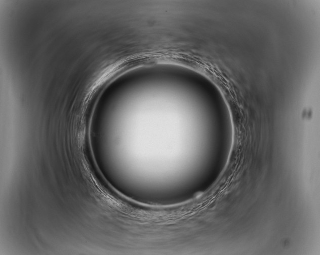 X0000101170005200806271046