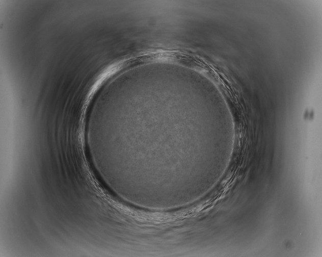 X0000101170006200806271046