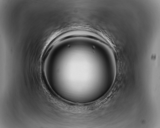 X0000101170008200806271046