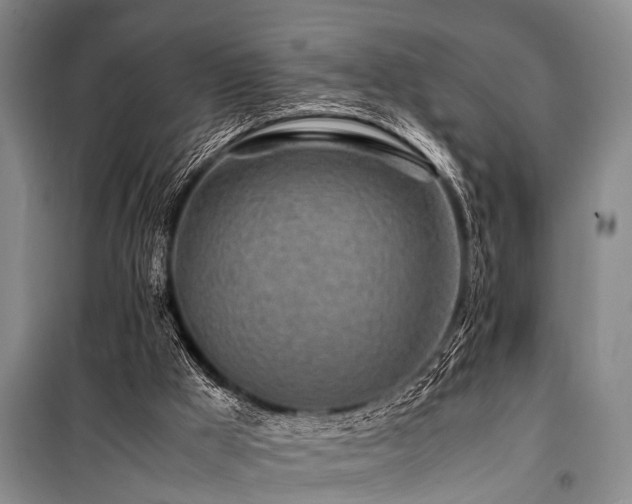 X0000101170009200806271046
