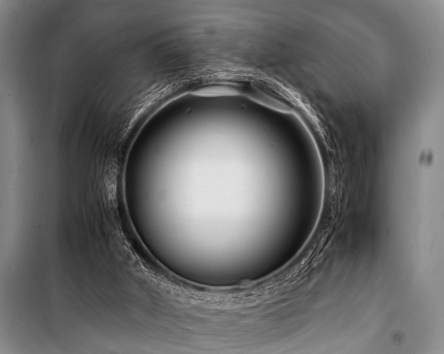 X0000101170010200806271046