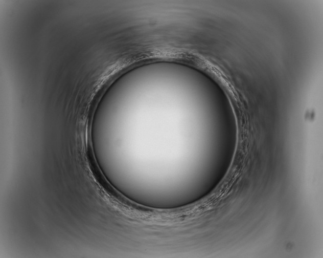 X0000101170011200806271046