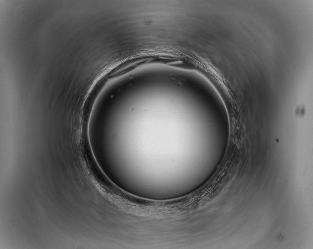 X0000101170012200806271046