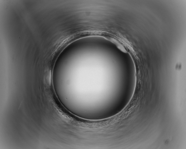 X0000101170013200806271046