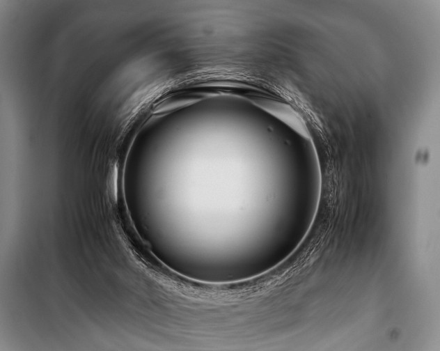 X0000101170014200806271046