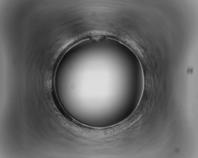 X0000101170015200806271046