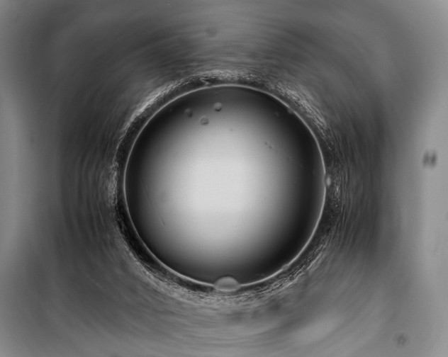 X0000101170016200806271045