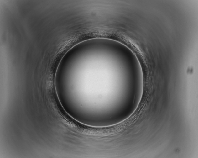 X0000101170017200806271045