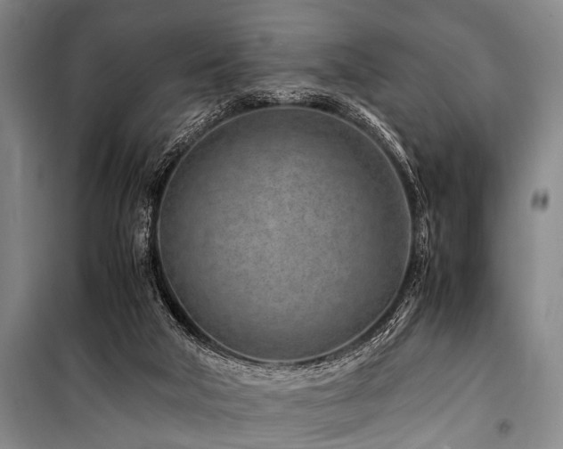 X0000101170018200806271045