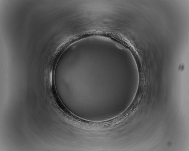 X0000101170019200806271045
