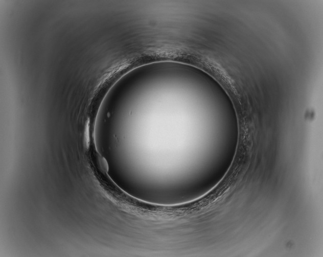 X0000101170020200806271045