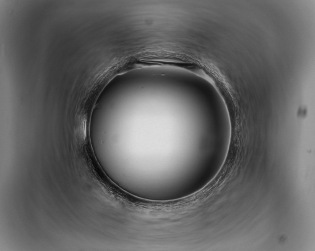 X0000101170021200806271045