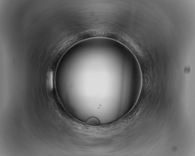 X0000101170022200806271045